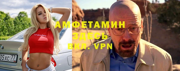 гидра Богданович