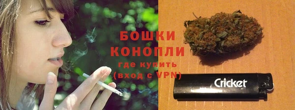 гидра Богданович