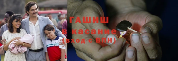 гидра Богданович