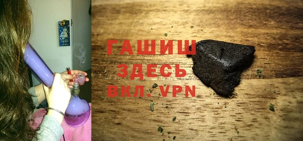 гидра Богданович