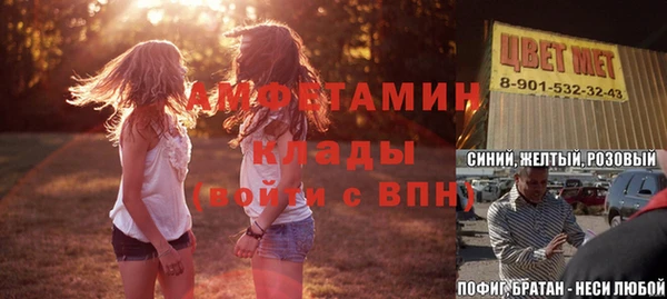 гидра Богданович