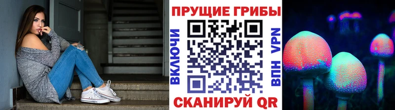 даркнет сайт  Минеральные Воды  Галлюциногенные грибы прущие грибы 